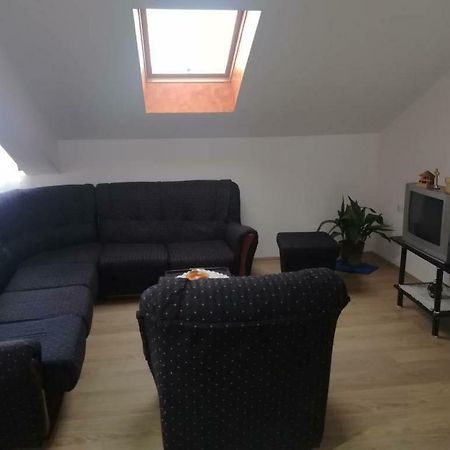 Apartman Ivana Ica Soko Banja Bagian luar foto