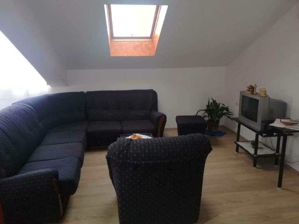 Apartman Ivana Ica Soko Banja Bagian luar foto